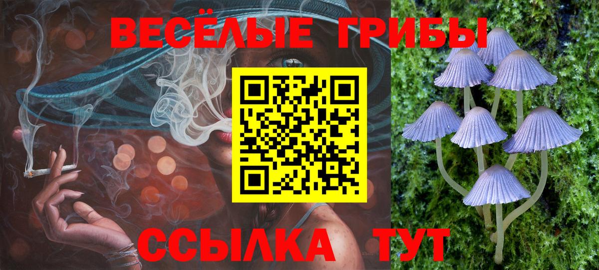 Галлюциногенные грибы Cubensis  Вход с VPN  Нурлат 