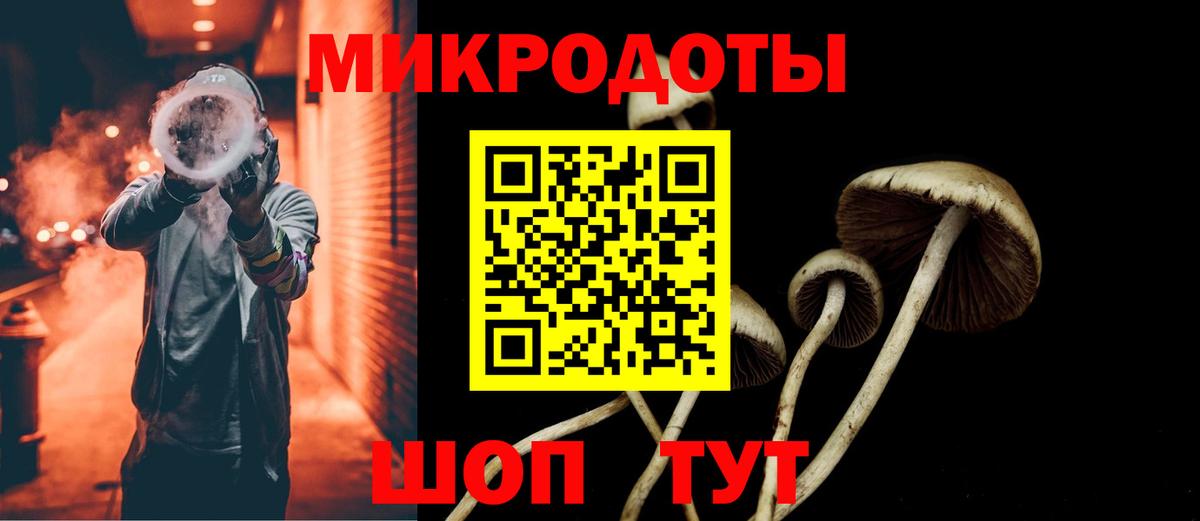 Галлюциногенные грибы Psilocybine cubensis Нурлат